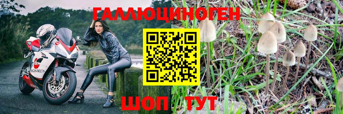 как найти закладки  Вход с VPN  Рузаевка  Галлюциногенные грибы мицелий 